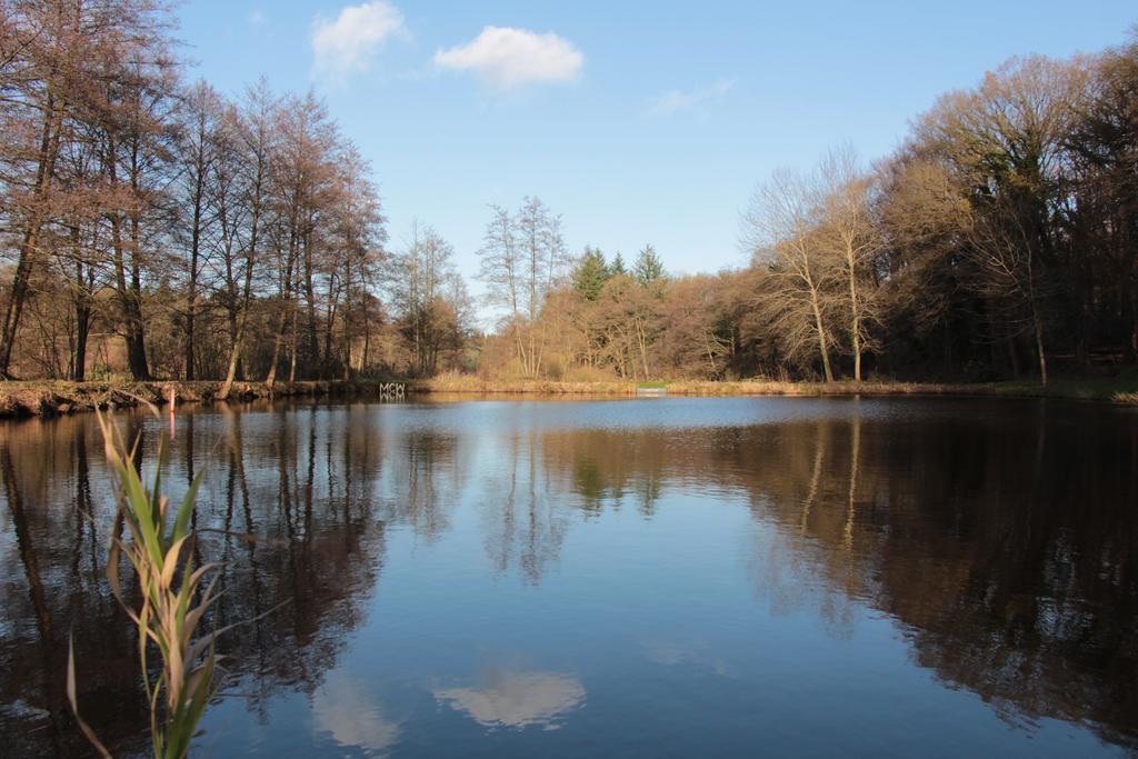 فندق Gut Altona Dötlingen المظهر الخارجي الصورة